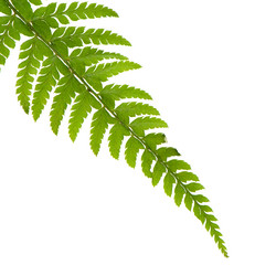 Similar image 2868087