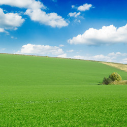 Similar image 2868103