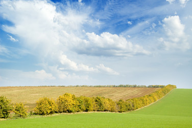 Similar image 2868107