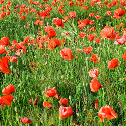 Similar image 2868118