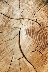 Similar image 2868120