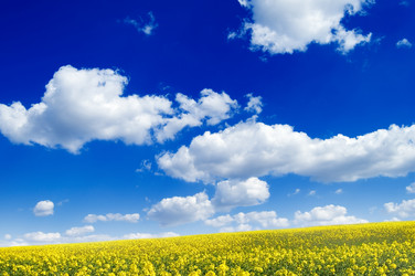 Similar image 2868121