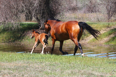 Similar image 2868238