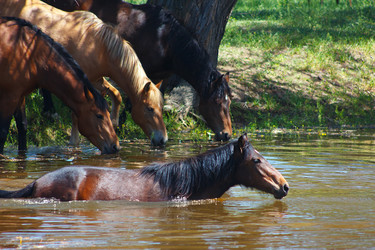 Similar image 2868240