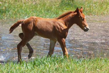 Similar image 2868248