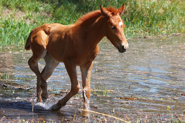 Similar image 2868249