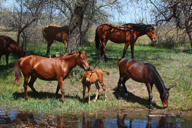 Similar image 2868251