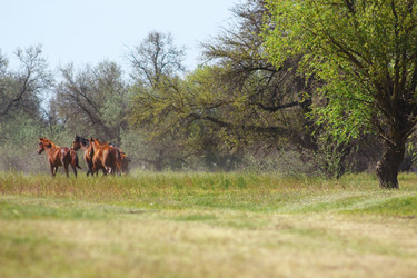 Similar image 2868252