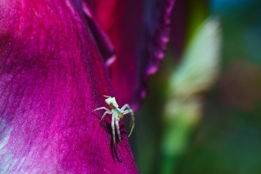 Similar image 2868259