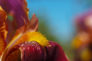 Similar image 2868260