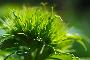 Similar image 2868261