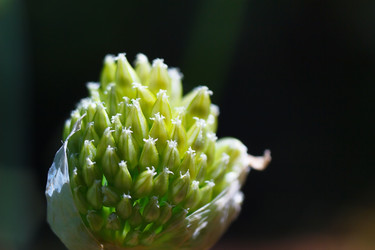 Similar image 2868263