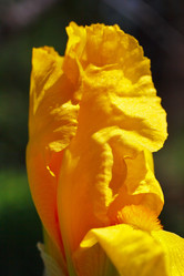 Similar image 2868264