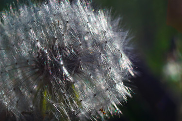 Similar image 2868267