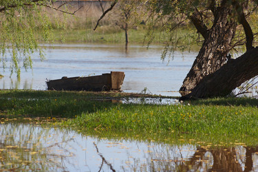 Similar image 2868275