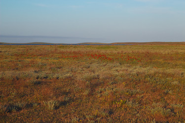 Similar image 2868276