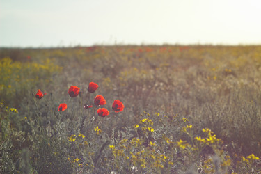 Similar image 2868278