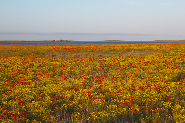 Similar image 2868279