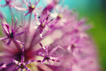 Similar image 2868282