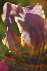 Similar image 2868287