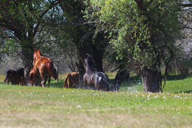 Similar image 2868288