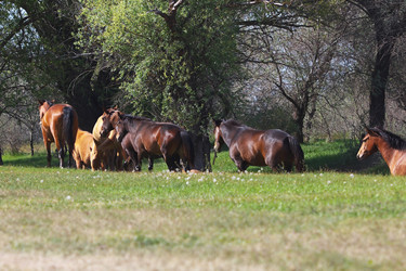 Similar image 2868290