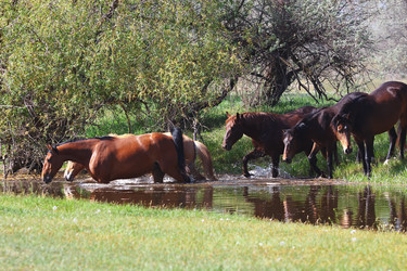 Similar image 2868291