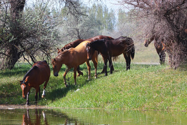 Similar image 2868292