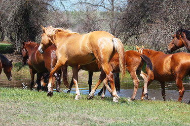 Similar image 2868296