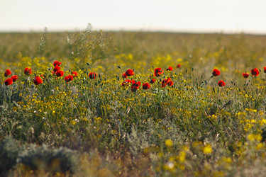 Similar image 2868297