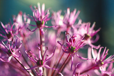 Similar image 2868309