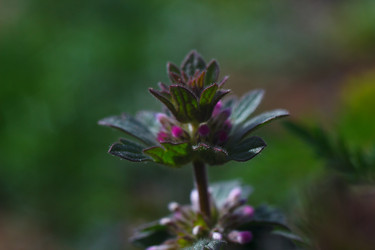 Similar image 2868326