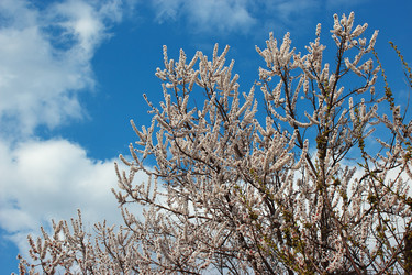 Similar image 2868327