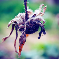 Similar image 2868328