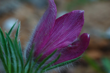 Similar image 2868329