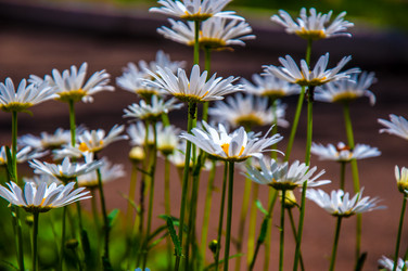 Similar image 2869587