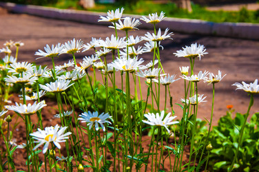 Similar image 2869588