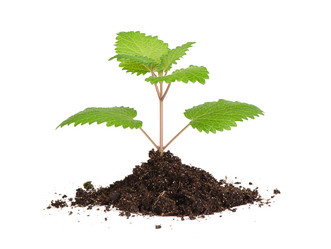 Similar image 2869695