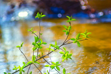 Similar image 2869749