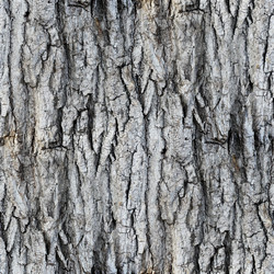 Similar image 2869759