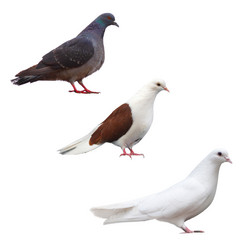 Similar image 2869772