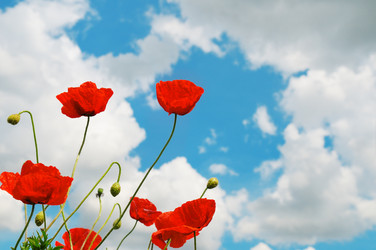 Similar image 2870065