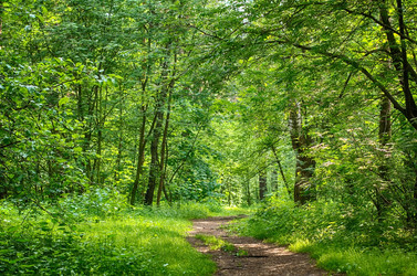 Similar image 2870084