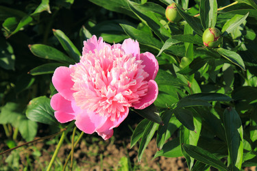 Similar image 2870100