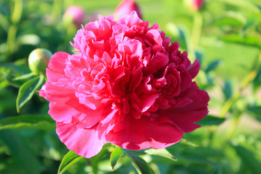 Similar image 2870101