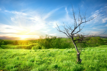 Similar image 2870127