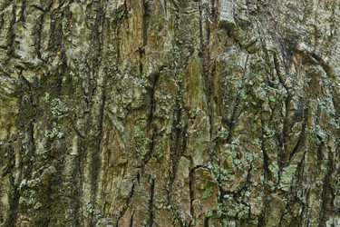 Similar image 2870139