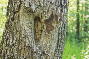 Similar image 2870140