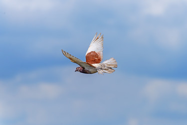 Similar image 2870142