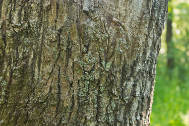 Similar image 2870158